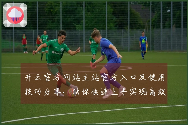 开云官方网站主站官方入口及使用技巧分享，助你快速上手实现高效浏览体验